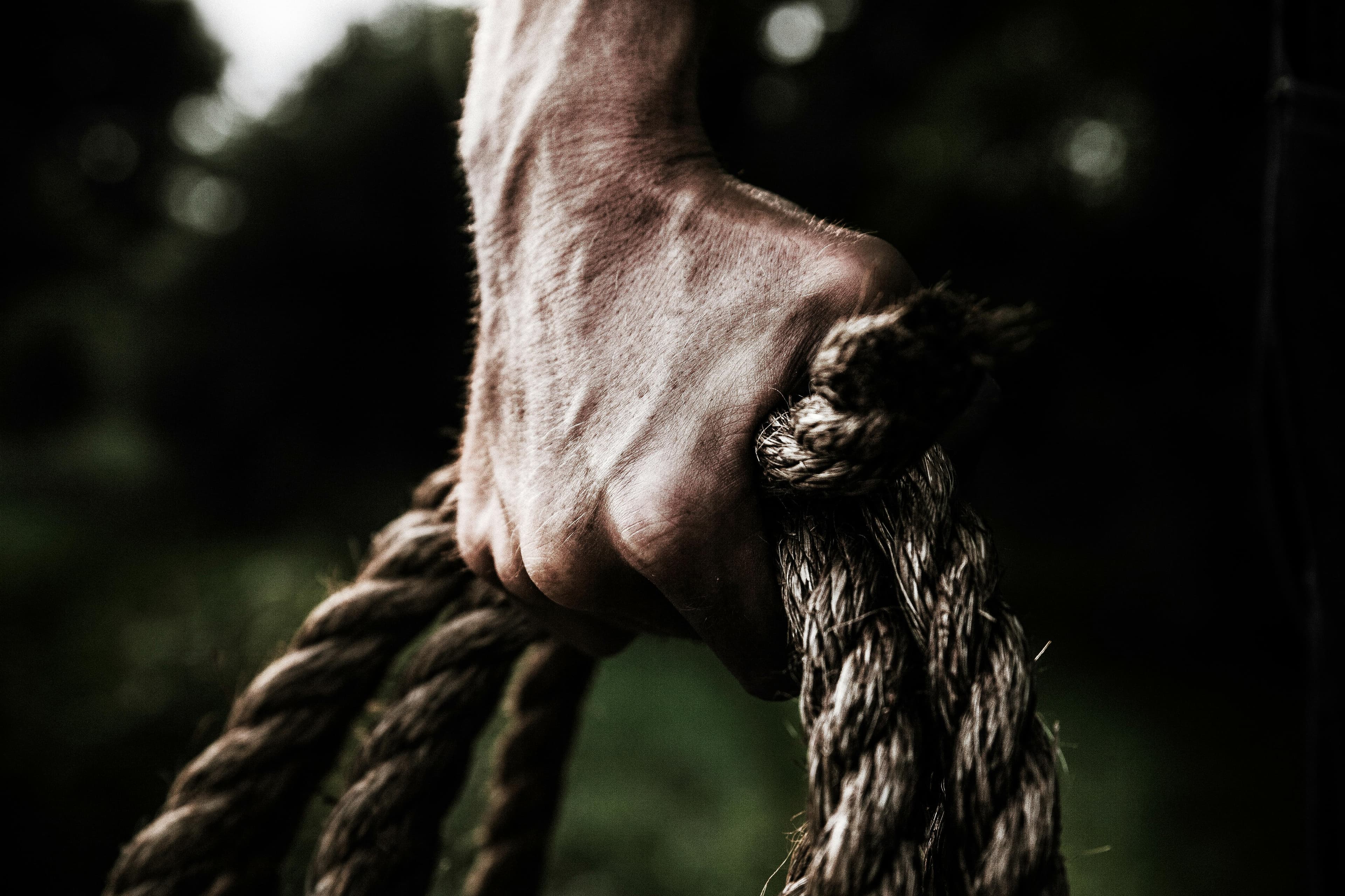 Strength Training for Beginners: Your Complete Guide to Building Muscle
